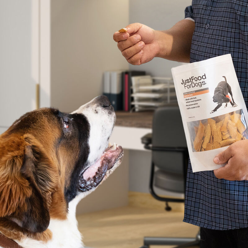 Bark of the wild dog treats top